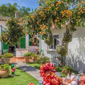 Hébergement de vacances Casa Vileta, Palma